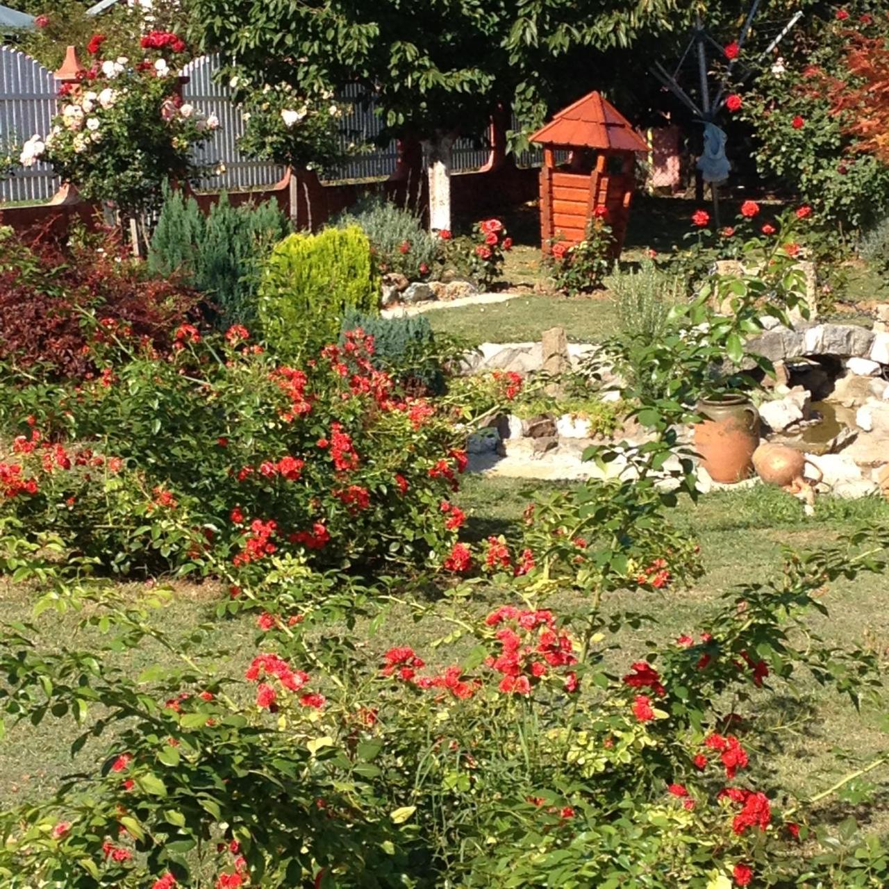 Guest House Rose Smederevska Palanka Ngoại thất bức ảnh